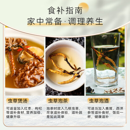 Dongyangguang Cordyceps sinensis 3-4 raíces/G6G Aproximadamente 20 raíces Cordyceps Caja de regalo de alta gama Suplementos nutricionales para ancianos y padres