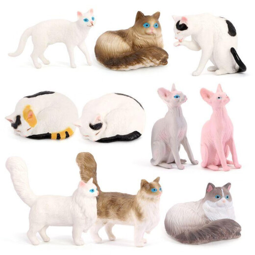 Shantoulin Village Children's Toy's Simulation Modèle Animal MinI Cat Ragdoll Cat Trois chat Cat sans cheveux Éducation précoce