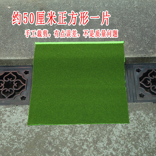 Simulated round grass floor mat, green turf, micro landscape, bonsai moss, desktop sandbox model, decorative green lawn, grass green powder bag 50g (excluding glue)