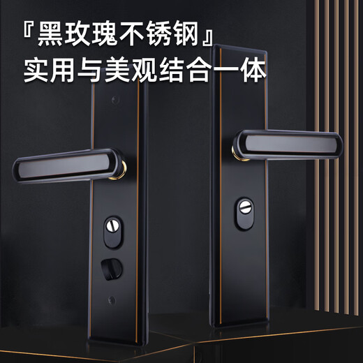 HOTUN anti-theft door lock panel stainless steel handle regardless of left and right, multi-functional FDM-03H black gold