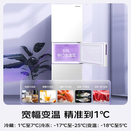 Panasonic (Panasonic) National Subsidy