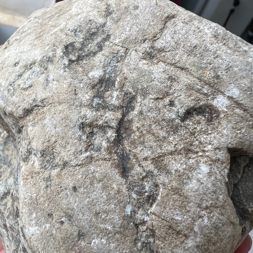 Enchère directe à un prix réel. 1283 grammes de pierre crue de jadéite birmane, qualité de l'eau, vieille bouche cassée