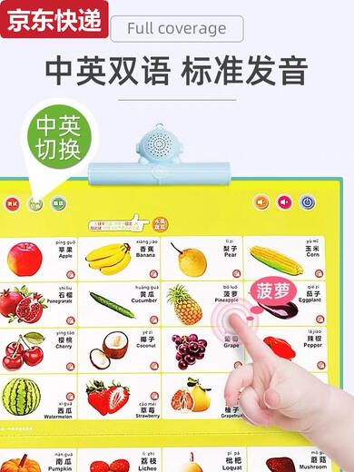 奇立彩幼儿童发声点读学习书宝宝早教机神器充电玩具拼音唐诗中英文 幼小衔接2-11岁点读书-充电款