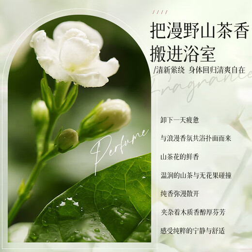 【山茶花香】山茶花洗发水去屑控油蓬松持久留香补水保湿大容量 水润 500ml 1瓶