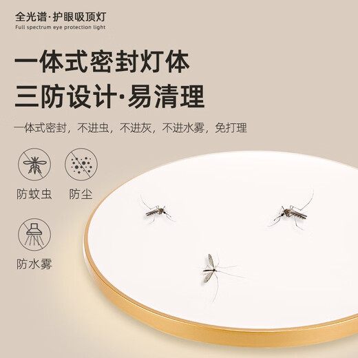 Er Jiangong LED LED Deckenleuchte Schlafzimmer Augenschutz Lampe 2025 Neu einfaches modernes Zimmer Licht Sinn runde Lampe 40W Volles Spektrum Ra9737cm Roségold 40W-Three
