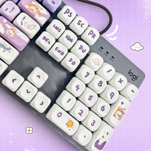 罗技（Logitech）K845机械键盘背光有线键盘 游戏电竞键盘 茶青红轴键盘DIY键帽 办公游戏键鼠套装 全尺寸104键盘 K845-紫色渐变兔键帽 青轴