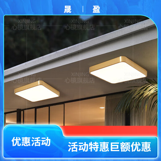 
Heart mirror full copper outdoor ceiling light villa ultra-thin entrance door light corridor aisle balcony light terrace mosquito-proof courtyard light X3893-400*600/rectangular