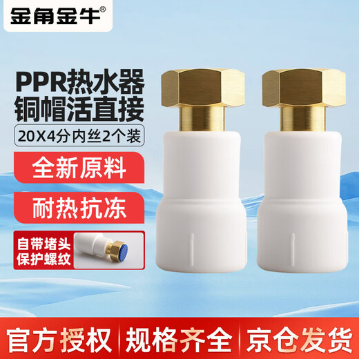 Golden Horn Taurus PPR water pipe accessories 4 minutes 20 hot melt live direct tap water pipe joint connector white 2 pieces