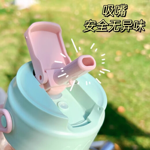 PINYU Plastic Cup Large Capacity Straw Cup Convenient Cup High Temperature Resistance With Tea Separator High-Looking Milk Tea Green 600ml