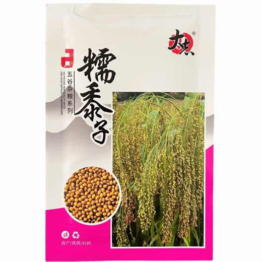 大志糯黍子粘糯大黄米粘黍子五谷杂粮谷 糯黍子种子【新种】 #88/原装新种(三包150克)