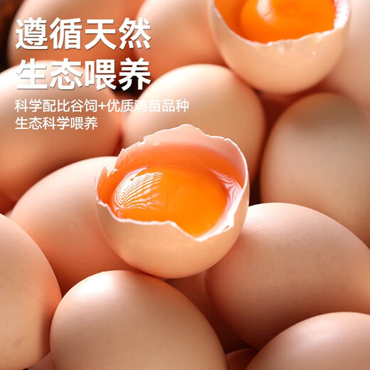 Jingxijia base direct delivery fresh eggs cereal eggs large eggs 50g fresh supermarket breakfast soft-boiled eggs express eggs 50g-20 pieces Jingxijia base direct delivery fresh eggs cereal eggs large eggs 50g fresh supermarket breakfast soft-boiled eggs express eggs 50g-20 pieces