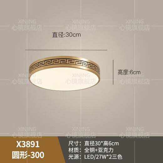 心镜全铜吸顶灯别墅入户灯室外防水阳台灯庭院过道走廊超薄防蚊虫顶灯 X3891-600*800/长方形