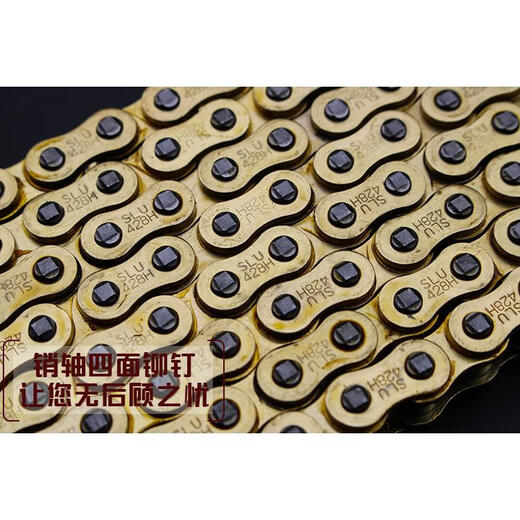 芒芒适用宗申赛科龙RX1摩托链条链盘套装ZS15051大小飞牙盘链轮三 提速三件套16齿45齿黄金链条