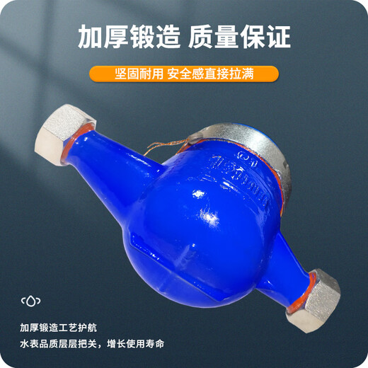 AM Amico ZK02-062 stainless steel cover steel liquid seal cold water meter tap water meter rotary wing national standard DN20/6 points