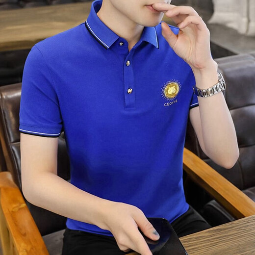 FJLT轻奢高档品牌polo衫男士T恤夏季新款时尚短袖翻领商务透气上衣 F6628（绿色） 2XL (建议140-160斤)