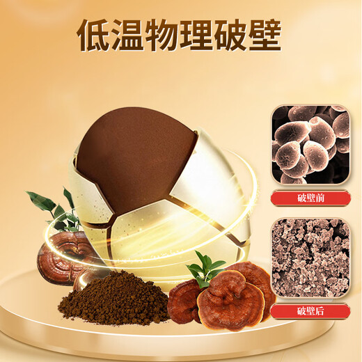 修正破壁灵芝孢子粉正品旗舰店长白山头道赤灵芝术后恢复营养品送礼cc 四瓶装【低至62元/瓶】