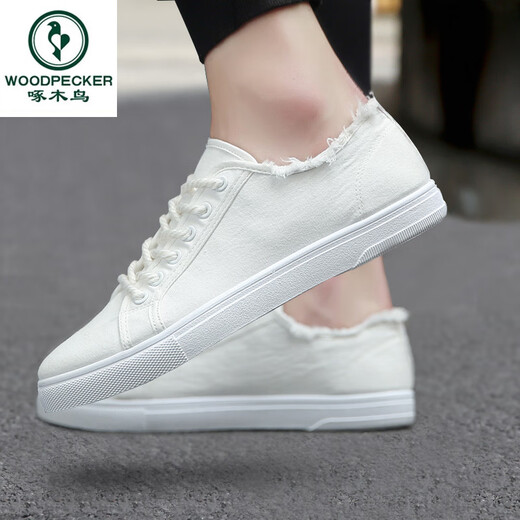 Holzspecker Sommer Neue vielseitige weiße Schuhe Herrenschuhe Trendy Schuhe Sport Casual Board Schuhe Herren Stoffschuhe Nicht rutschende Leinwandschuhe Männer 6636 Schwarz und Weiß 41