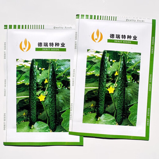 Strong female bright cucumber new variety seeds Tianjin De Ruite Del No. 7 green skin green flesh cucumber 1 bag Del No. 7 500 capsules