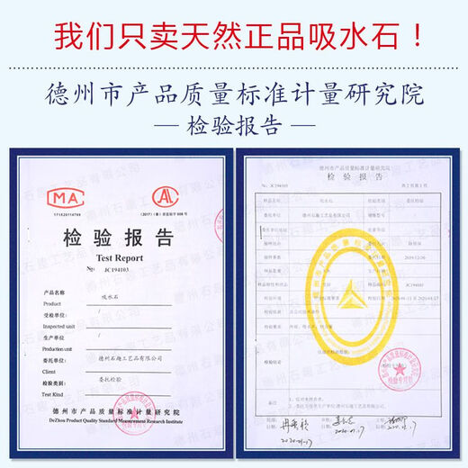 Absorbent stone flower pot, natural strange stone, absorbent stone, water-absorbing stone, raw stone stone pot, calamus succulent potted plant, bonsai micro-scape, 10-12cm stone pot + tempered rectangular holder + grass seeds