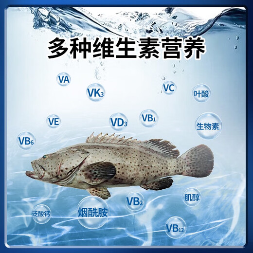 Vino fish uses high-dimensional multivitamin premix to supplement nutrition, induce food, promote growth and stress aquatic feed addition 5kg/box mail
