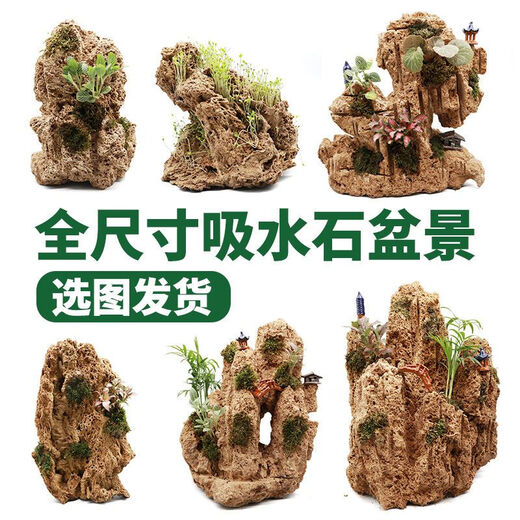 Water-absorbing stone 10-160CM natural water-absorbing stone raw stone water stone stone mountain bonsai rockery fish tank landscaping ornaments micro only stone 10-14 water-absorbing stone package