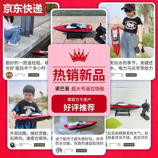 甜苗苗遥控小船玩具水上高速快艇船模型电动游艇儿童生日礼物男孩 小号蓝色25双桨高速快艇 标配单电续航30分钟+玩坏换新