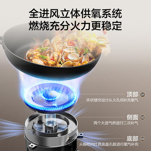 
Famous (MQ) Liquefied Gas Gas Stove 5.0kW Large Firepower Stainless Steel Panel Fire Stove Household Table-Inlaid Dual-Use Gas Stove Double Stove First-Level Energy Efficiency JZY-A6210G