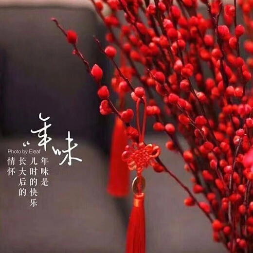 【红色招财银柳】干花真花鲜枝耐寒年宵花水培花卉室内摆放装饰花 套装【60厘米20支+花瓶+2个灯笼