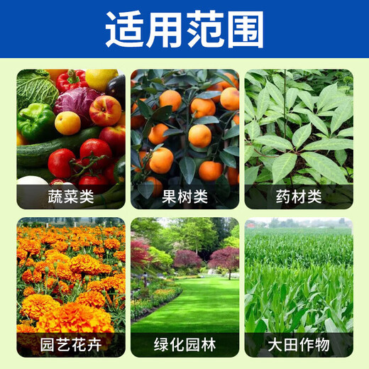 Lulong Potassium Dihydrogen Phosphate Grape Strawberry Fruit Tree Vegetable Flower Preservation Flower and Fruit Water-soluble Foliar Fertilizer Flower Fertilizer Phosphate Fertilizer Potassium Fertilizer 1000g (10 bags 1 box)