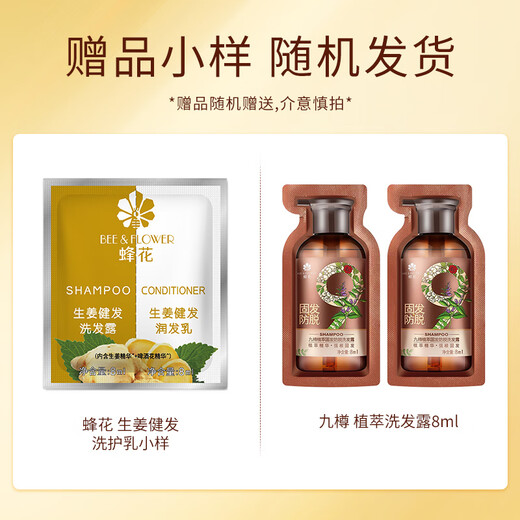 Bee Flower Ginger Shampoo Silicone-Free Hair Strengthening Anti-Breakage Oil Control Fluffy Shampoo Smooth Fragrance Shampoo Cream for Men and Women Ginger Hair Strengthening Shampoo 750ml