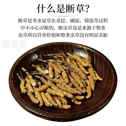 Área tibetana auténtica naqu Big Broken Grass Fresh Cordyceps sinensis Cordyceps de productos secos Auténticos Cordyceps sinensis Tíbet auténtico Naqu Stramos de carne entera de alta altitud 55 gramos