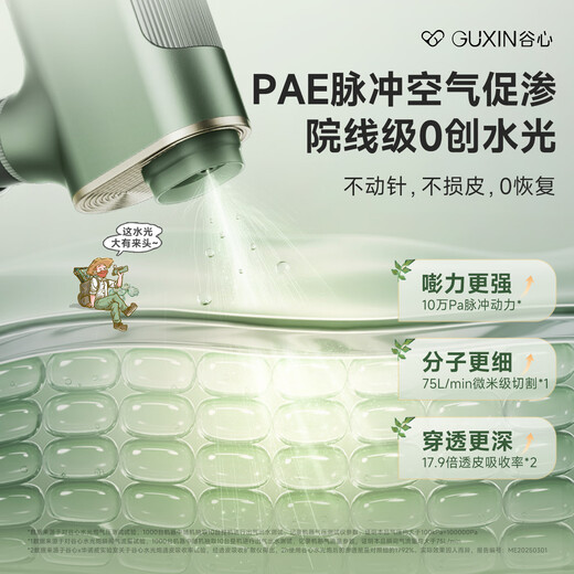 GX Diffuser Guxin water-light cannon needle-free water-light instrument self-operating household water-light needle water-light household oxygen injection meter Christmas gift birthday gift for girlfriend guaranteed price-Wild Rose