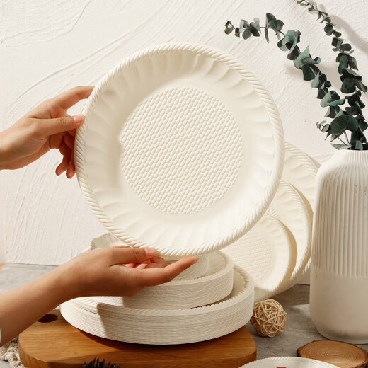Jiamo disposable plates 8 inches 30 pieces environmentally friendly material corn starch outdoor barbecue picnic waterproof and oil-proof tableware