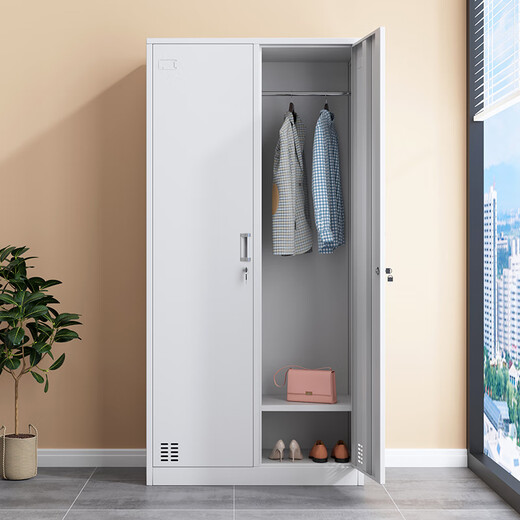 Dingmiao famous craftsman steel two-door locker iron cabinet employee locker with lock double-door dormitory changing wardrobe coat cabinet home