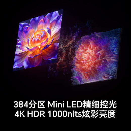 海信电视98E3Q Pro 98英寸 高分区MiniLED控光 288Hz高刷 U+超画质Pro AI智能语音 国家补贴 98/100