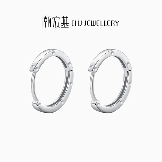 Trendy Acer Minimalist Platinum Earrings Women's Earrings for Girlfriend's Birthday Gift Priced at RMB 100 per piece Single Model Approximately 0.95g