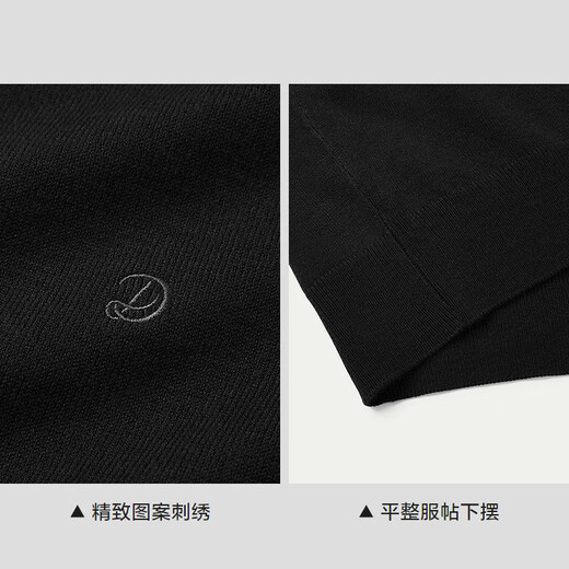 HLA Hai Lan House sweater men's pattern embroidery warm round neck casual sweater men's autumn and New Year