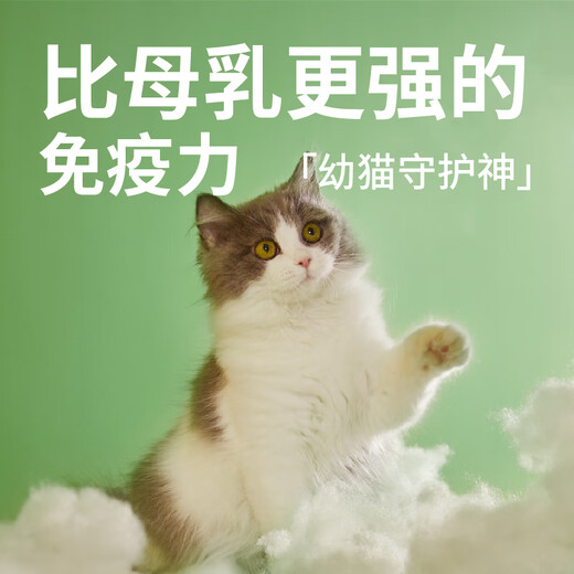 Runhuanian Prescription Cat Food Fresh Meat Grain-Free Chicken High-Protein Kitten Food Special Nutritional Balanced Staple Food Fresh Meat Grain-Free Kitten Food 8kg