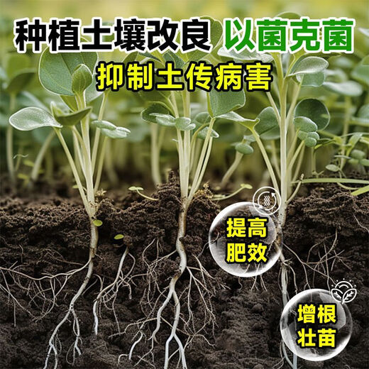 Anxiaoran Microbial Bacteria Fertilizer Promotes Seedlings, Strong Roots, Prevents Disease, Increases Yield, Sugarcane Rice Farmland General Authentic 10 Bottles*120ml Returning Customers 99 Points 9