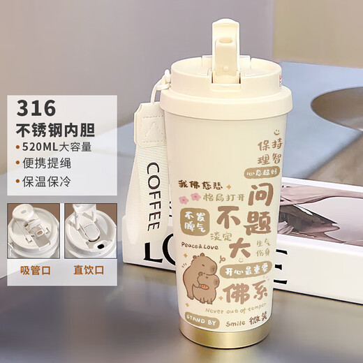 胖东来方舰店旗吸管保温杯果盈卡通情侣保温杯男女大容量运动水 不锈钢内胆-FA1276山+挂绳 520ml