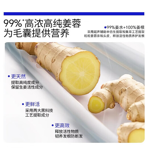 EHD生姜洗发水500ml强韧修护控油蓬松防断护发韧发清爽男女士洗发露