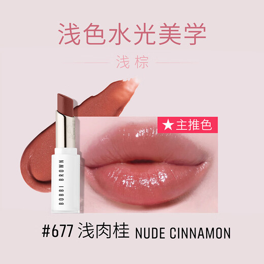 Bobbi Brown Pure and Solid Lip Glutinous 677 Light Cinnamon Set
