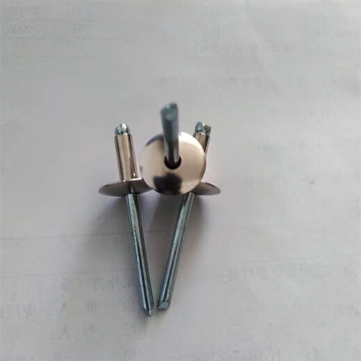 
Bingyu 304 stainless steel hat brim van type car open core pulling rivet Liuding willow nail big hat brim round head pull nail half steel 4*20*12250 pieces
