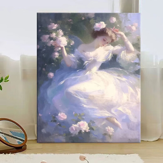 跳芭蕾的少女 数字油画2024新款人物手工填充diy手绘涂色油彩挂画 W3883 30x40cm原木色外框崩好实木内框