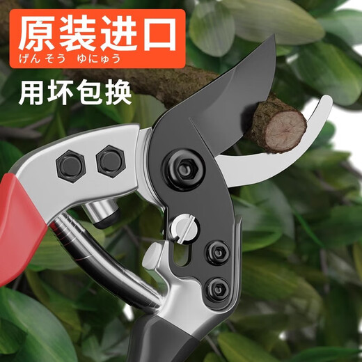 Yizhili pruning shears, special scissors for gardening branches, floral pruning, flower pruning scissors, fruit trees and flowers, guillotine type + imported large folding saw + waist box