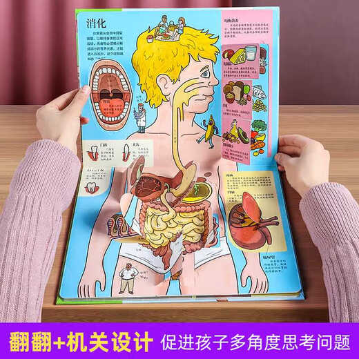 正版速发揭秘人体立体书儿童3-6-8-10岁以上翻翻书系列3d科普必我们的身体百科全书幼儿园老师小学生一二年 693本后一起付款笔记本