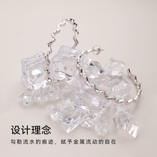 Arsis Streamer Series Sparkling Earrings Women's Earrings Fashion Jewelry 925 Silver Needle as a Birthday Gift for My Girlfriend