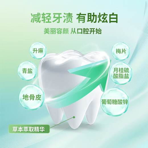 Yadean healthy teeth powder green salt care gum reduction teeth stains smoke stains coffee stains fresh breath 52g*1 healthy teeth powder