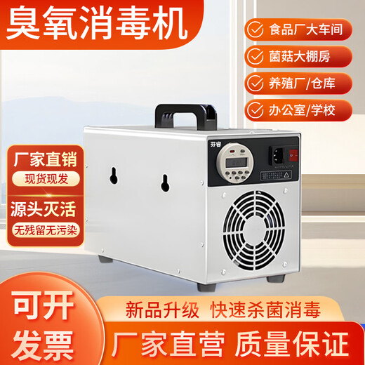 Fenrui Fenrui ozone disinfection machine generator home decoration formaldehyde removal food factory small air sterilization purifier 40g small ozone disinfection machine smart time period timing model