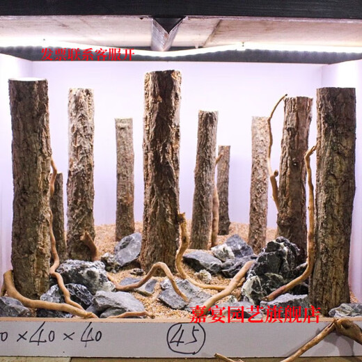 Champagne trunk underwater forest ornaments decoration pure natural water and land tank rainforest tank landscaping climbing pet turtle sun terrace 2-4 cm in diameter and 20 cm in length one piece